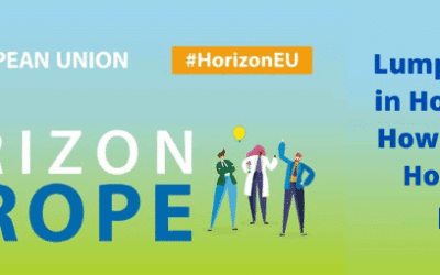 Διαδικτυακή εκδήλωση: Lump Sum Funding